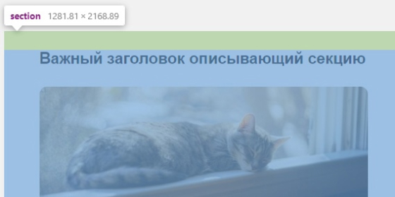 Кошка на подоконнике padding-top сверху